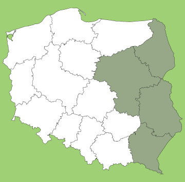 Östliche Provinzen