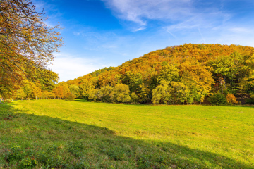 Ein mit Bäumen bedeckter Hügel in einer Herbstlandschaft.
