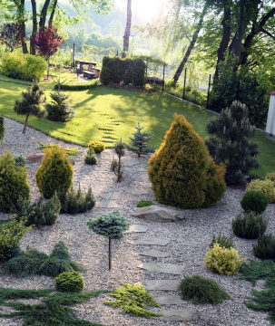 Der Garten in der Morgensonne