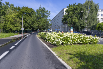 Reymonta-Straße in Krakau, Stadtgrün