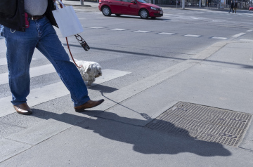 Ein Mann mit einem Hund an einem Fußgängerüberweg