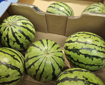 Wassermelonenverkauf