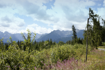 Blick auf die Hohe Tatra