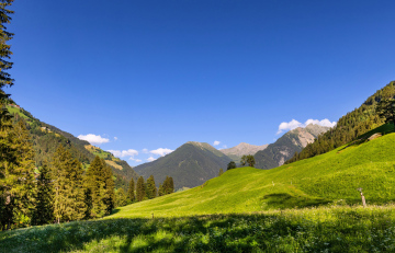 Bergwiesen zwischen Moos und St. Leonhard, Südtirol, Italien
