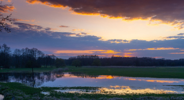 Nasse Wiese und Sonnenuntergang