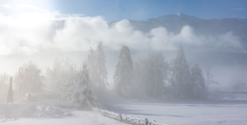 Winterlandschaft hinter dem Nebel