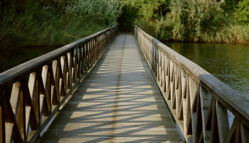 Eine Brücke über den Teich