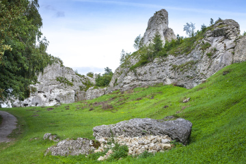 Kalksteinfelsen in Ogrodzieniec