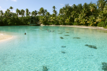 Baden im warmen Meer