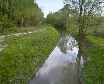 Wilga River In Krakau