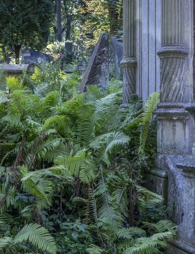 Architektonische Details auf dem alten Friedhof