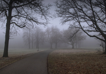 Alter Park im Nebel