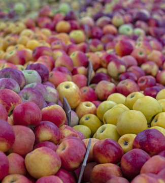 Verschiedene Apfelsorten auf dem Marktplatz