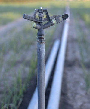 Bewässerungsrohre aus Metall, Sprinkler