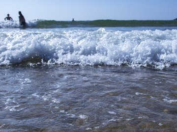 Im Meer schwimmen