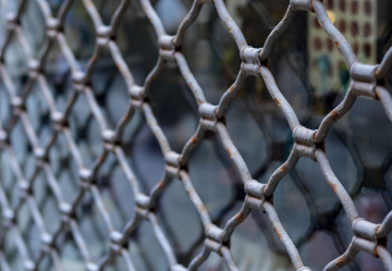 Gitter am Schaufenster