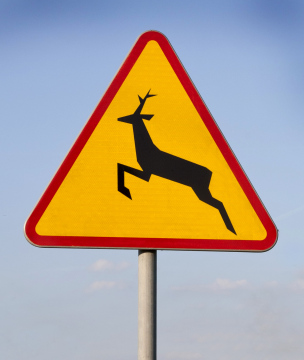 Verkehrszeichen A 18b Warnung wilde Tiere