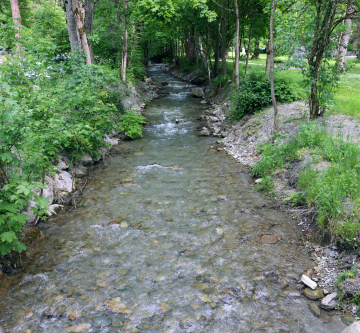Mały Potok, ein Fluss mit bewachsenen Ufern.
