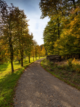 Unbefestigte Straße durch den Park in der Herbstlandschaft