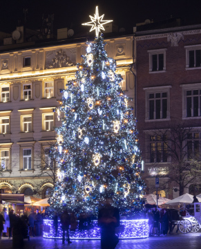 Weihnachtsbaum am Marktplatz in Krakau
