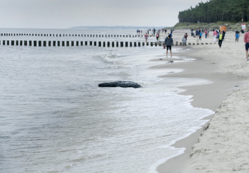 Menschen am Strand an einem wolkigen Tag