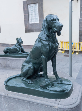 Hunde vor der Kathedrale von Las Palmas, Skulpturen.