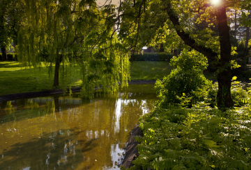 Ein Teich im Park