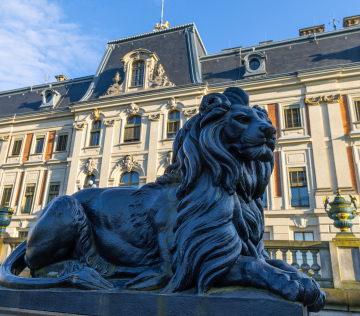 Löwenbeobachtung vor dem Palast in Pless