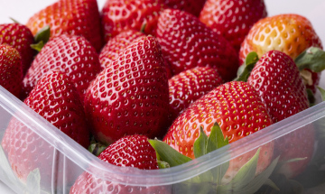 Erdbeeren in einem Plastikbehälter