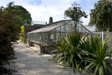 Gewächshaus im Botanischen Garten