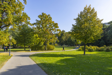 Spazierwege und Bäume im Park, Stockfoto