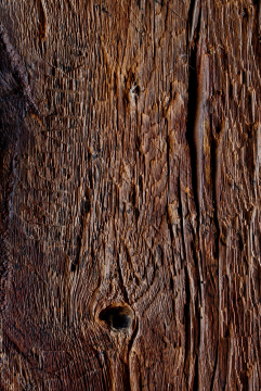 Hartes Holz