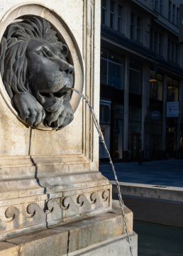 Löwenkopf, Stadtbrunnen, Wien