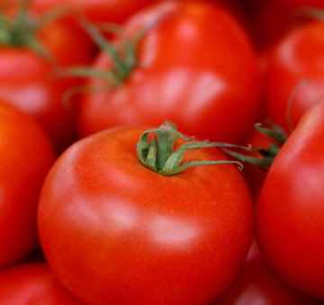 Tomaten an einem Marktstand