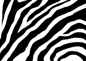 Zebra Vektor Hintergrund