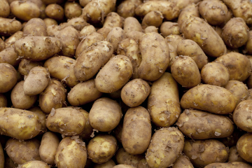 Junge Kartoffeln auf einem Marktstand
