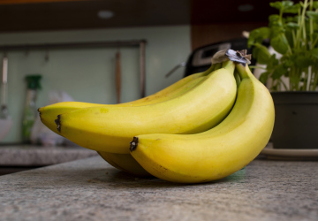 Bündel Bananen in der Küche