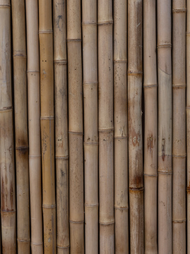 Hintergrund der Bambuspfähle