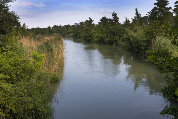 Ein Kanal mit natürlichen Ufern und Vegetation