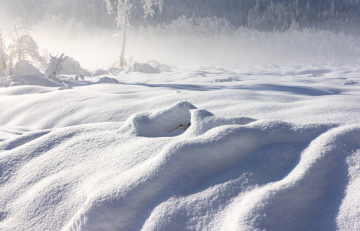 Schneeflecken, Winter im Feld