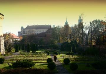 Blick auf den Wawel