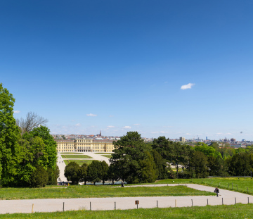 Blick auf das Schloss Schönbrunn in Wien, Stockfoto