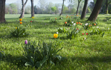 Frühling in Parks und Gärten