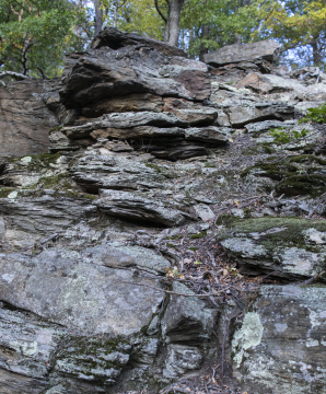 Felsen im Wald