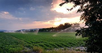Landwirtschaftliche Bewässerung