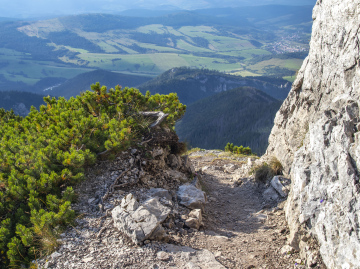 Ein Weg mit einem Felsbruch und Bergkiefer