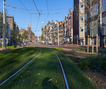 Amsterdam, Grasgleis für Straßenbahnen