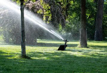 Bewässerung im Park