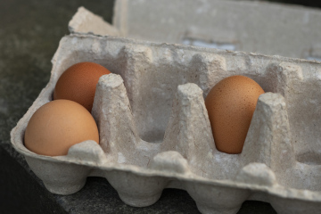 Eier in einem Karton