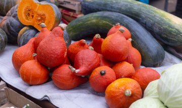 Orangefarbene Kürbisse, die auf dem Markt verkauft werden